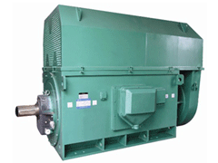 绿园YKK系列高压电机